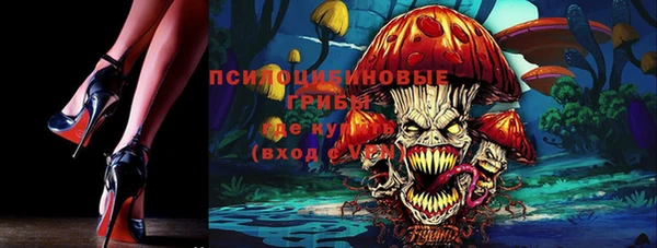 mdpv Верея