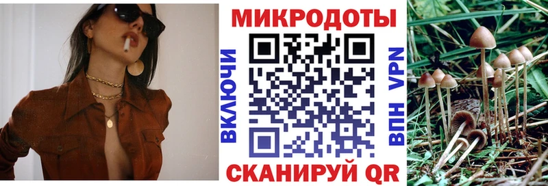 Псилоцибиновые грибы Psilocybine cubensis Елизово