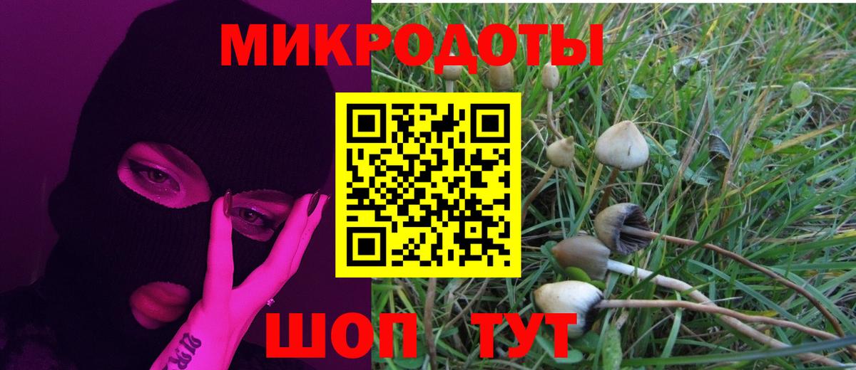 Елизово  Галлюциногенные грибы Magic Shrooms  Вход с VPN  Галлюциногенные грибы Cubensis 