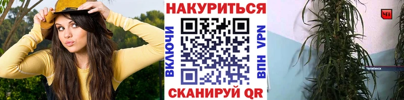 купить  сайты  Елизово  Канабис OG Kush 